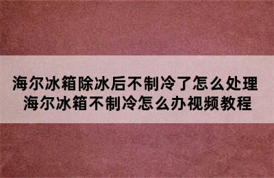 海尔冰箱除冰后不制冷了怎么处理 海尔冰箱不制冷怎么办视频教程